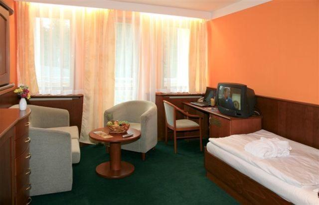 Hotel Nastup Loučná pod Klínovcem Rum bild